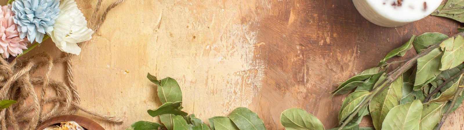 Atelier cuisine – Le printemps dans nos assiettes