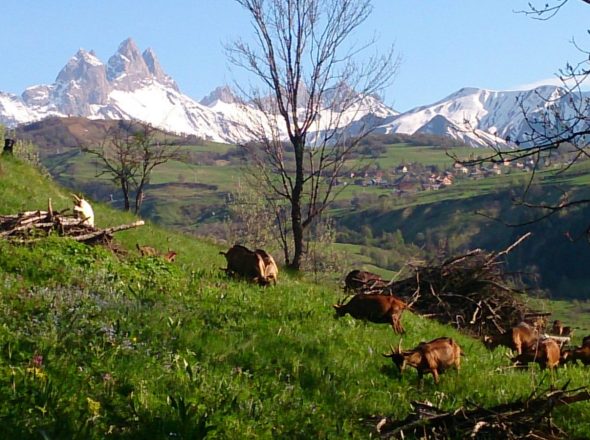 GAEC La Chèvrerie de Champlan