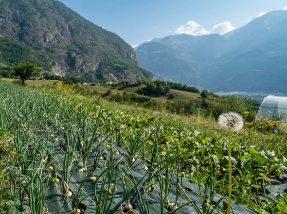 La Ferme de la Fournache