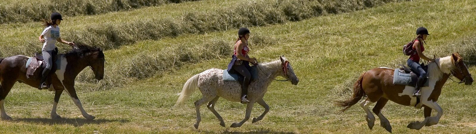Promenades à cheval
