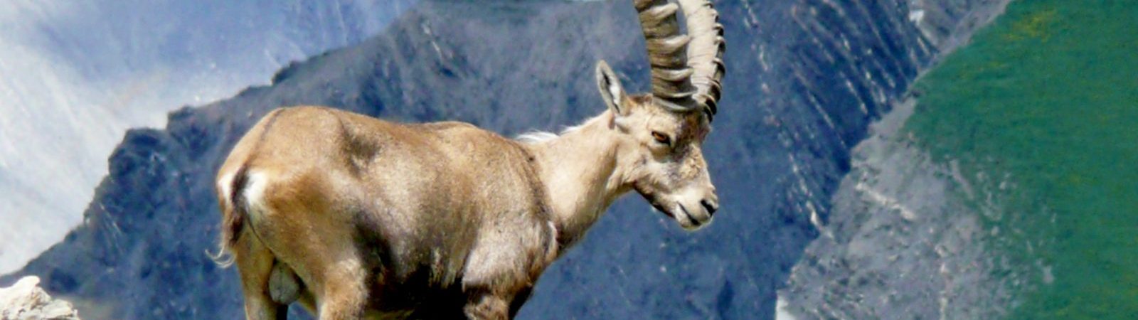 Albiez Randonnée Patrimoine