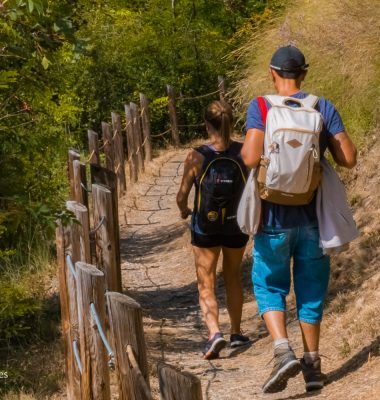 Randonnées accompagnées