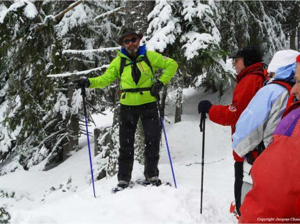 Rando raquettes dans les prairies d’alpage